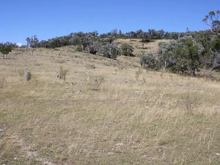 Fourth view of Homely rural property listing, 19/702965 Gulf Road, Emmaville NSW 2371