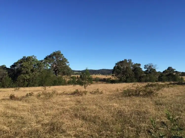 Fourth view of Homely land listing, Lot 460 DP Princes Highway, Cobargo NSW 2550