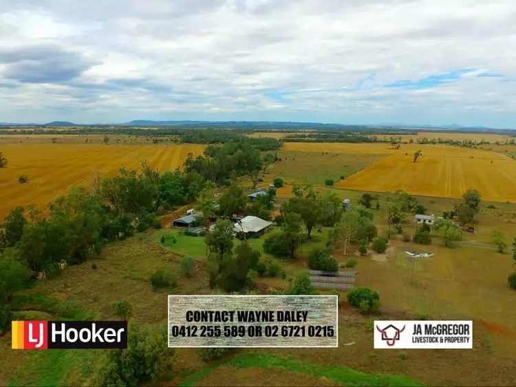 124 County Boundary Road, Pallamallawa NSW 2399