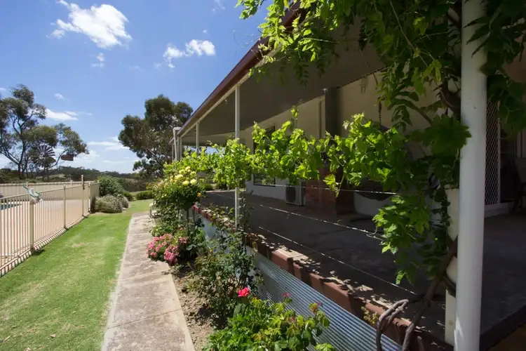 Sixth view of Homely rural property listing, 65 Muanu Road Spring Gully, Clare SA 5453