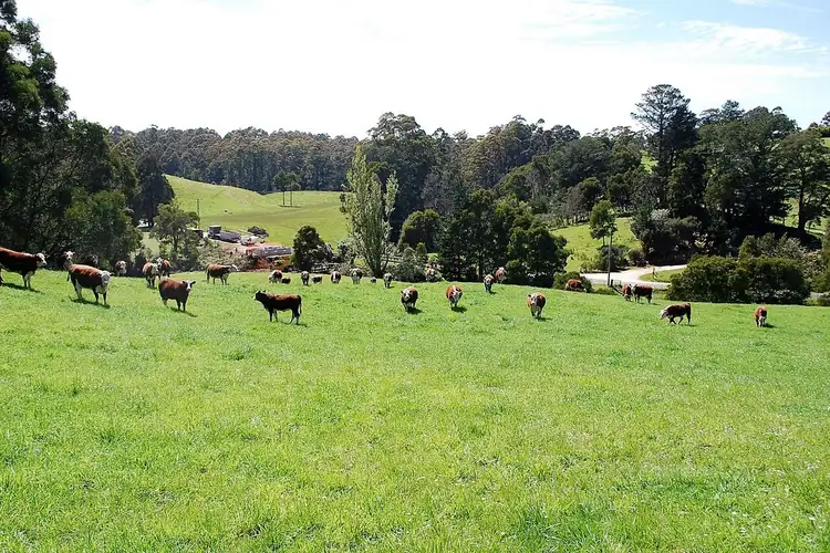 Second view of Homely land listing, . Lapoinya Road, Lapoinya TAS 7325