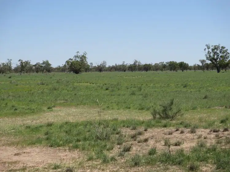 Sixth view of Homely rural property listing, Morven QLD 4468