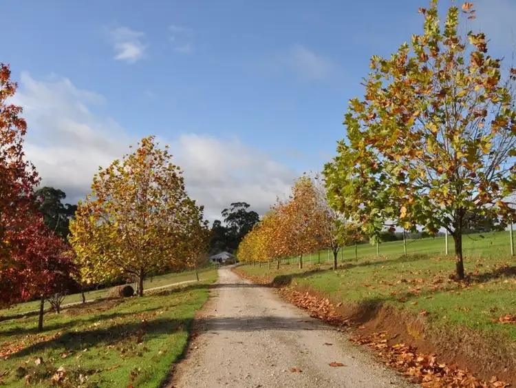 Fifth view of Homely rural property listing, 7721 Stirling Road, Pemberton WA 6260