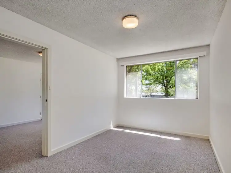 Sixth view of Homely unit listing, 3/8 Irvine Street, Watson ACT 2602