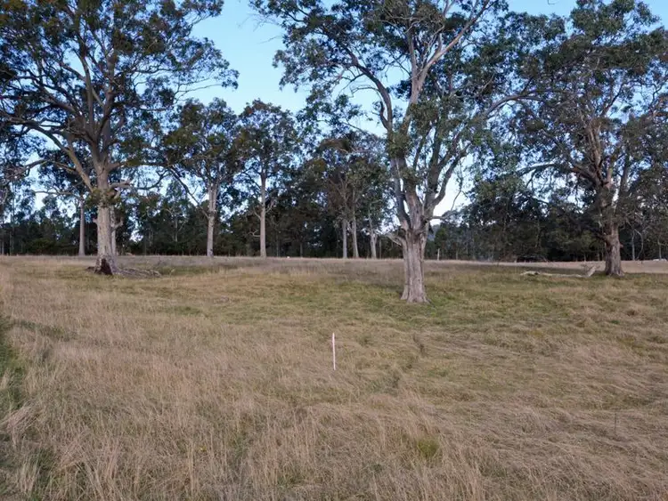 Seventh view of Homely rural property listing, Lot 38 of Lot 423 Martins Creek Road, Paterson NSW 2421