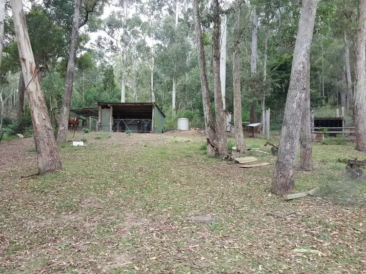 Third view of Homely rural property listing, 556 Reedy Swamp Road, Tarraganda NSW 2550