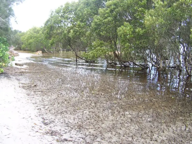 Main view of Homely land listing, 8 Myall Street, Pindimar NSW 2324