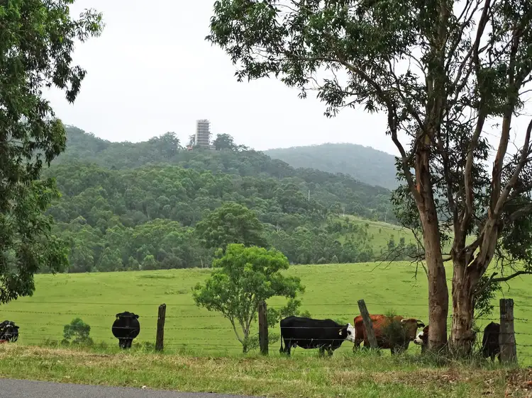 Second view of Homely land listing, Lot 3 Booral Road, Girvan NSW 2425