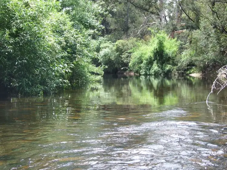Fifth view of Homely rural property listing, 129 Glen Oaks Road, Brogo NSW 2550