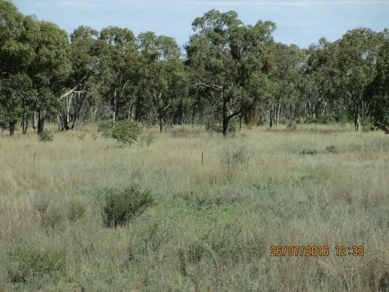 Main view of Homely rural property listing, 2175 Gunnawarra Road, Mitchell QLD 4465
