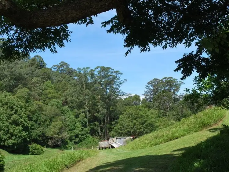 Seventh view of Homely rural property listing, 114 Bennetts Road, Coffs Harbour NSW 2450