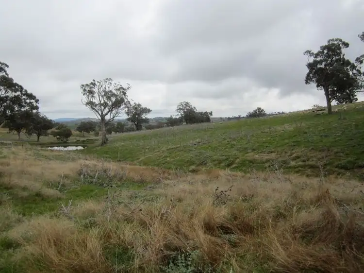 Seventh view of Homely rural property listing, 625 Tubbul Road, Young NSW 2594