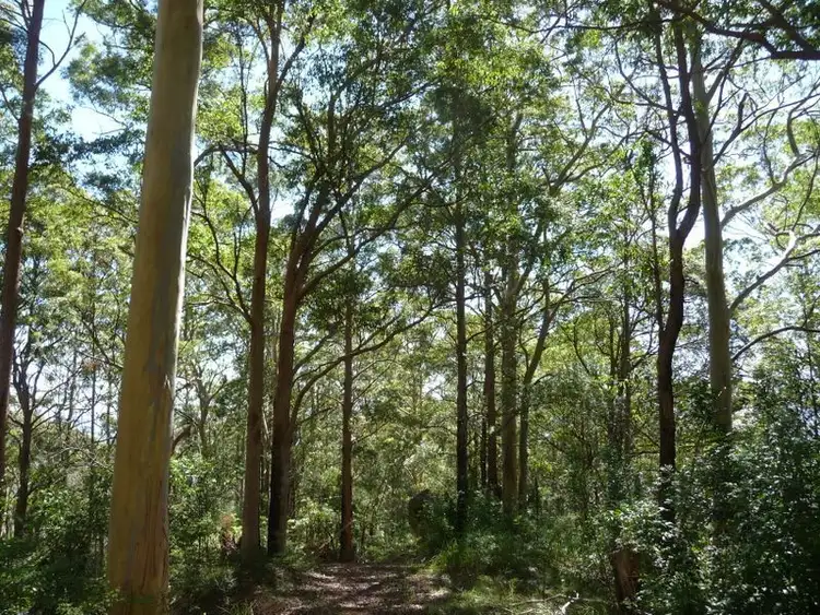 Fifth view of Homely rural property listing, Address available on request