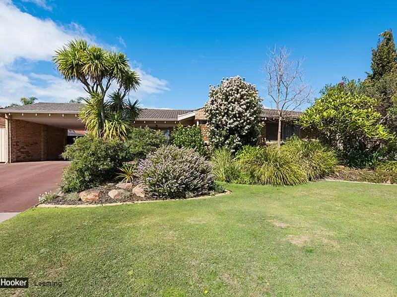 Main view of Homely house listing, 10 Sentinel Gardens, Leeming WA 6149