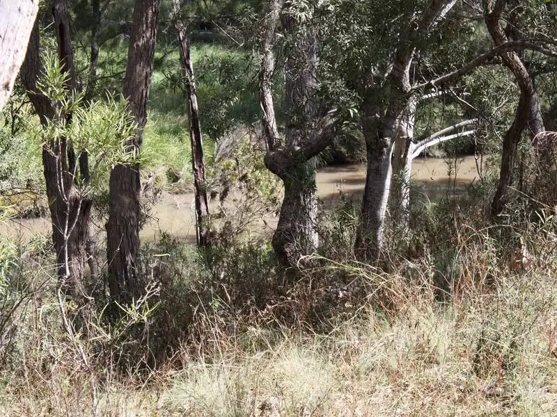 Main view of Homely rural property listing, 1281 Gulf Road, Emmaville NSW 2371