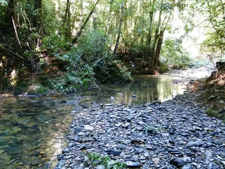 Fifth view of Homely land listing, Lot 1 Eve Creek Road, Brooklana NSW 2450