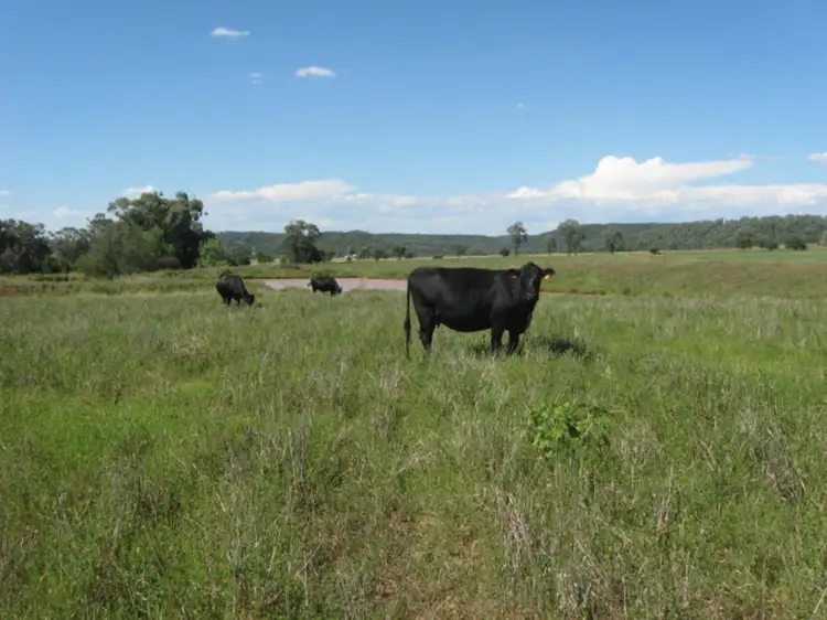 Sixth view of Homely rural property listing, Alan Cunningham Road, Bingara NSW 2404