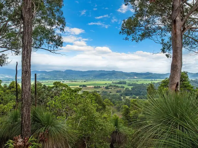 730 Reserve Creek Road, Murwillumbah NSW 2484