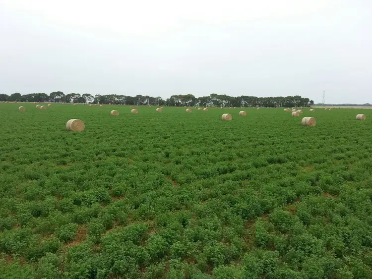 Third view of Homely rural property listing, Rutherford Estate/461 Clover Estate Road, Mingbool SA 5291