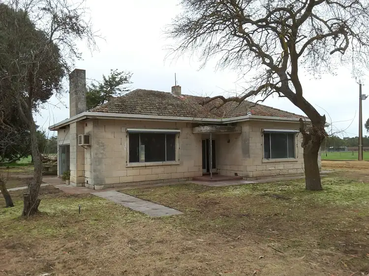 Main view of Homely rural property listing, 16663 Riddoch Highway, Penola SA 5291