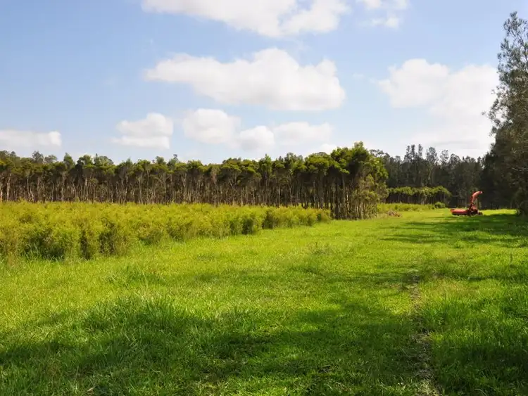 Fifth view of Homely rural property listing, 255 The Gap Road, Woodburn NSW 2472