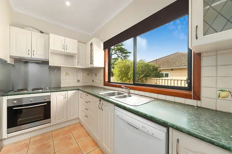 Third view of Homely house listing, 113 Cornelia Road, Toongabbie NSW 2146