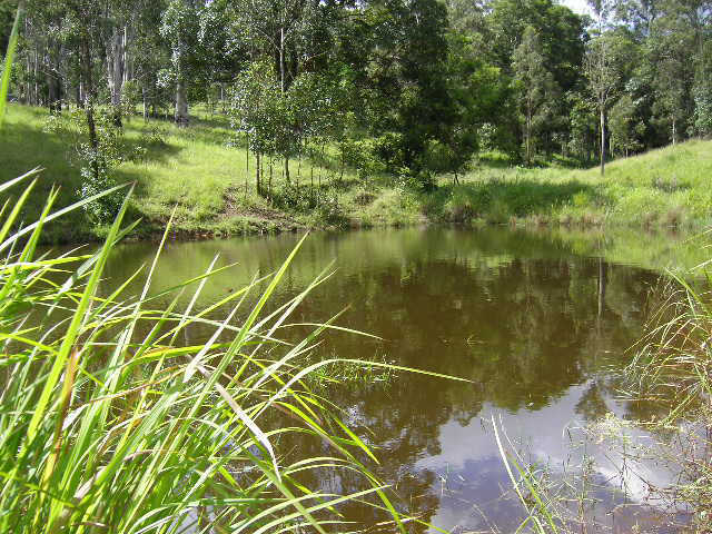 Third view of Homely rural property listing, 3085 Monsildale Road, Kilcoy QLD 4515
