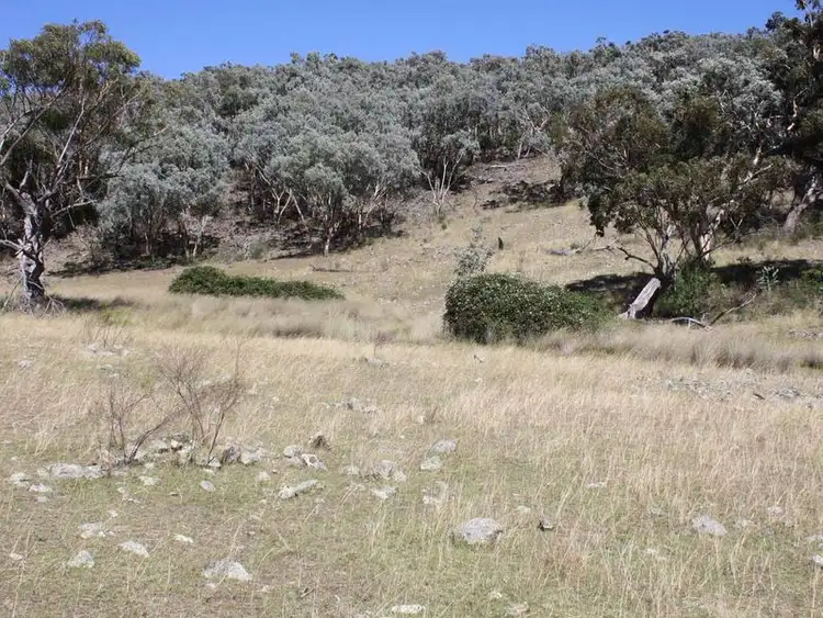 Fifth view of Homely rural property listing, 19/702965 Gulf Road, Emmaville NSW 2371
