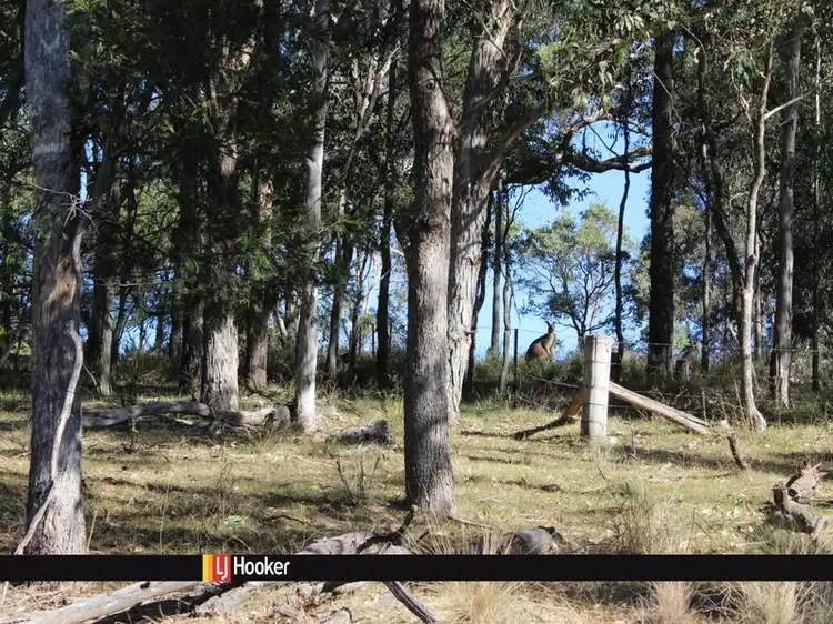 222 Hore Laceys Road, Quaama NSW 2550