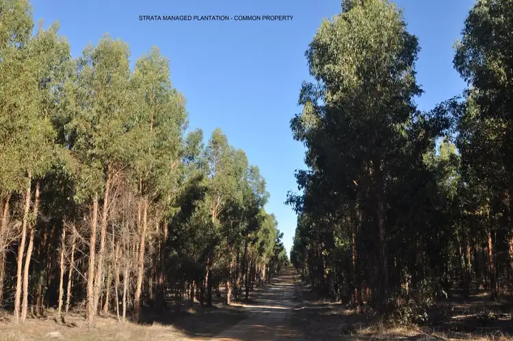 Second view of Homely land listing, 21 Folly Road, Frankland River WA 6396