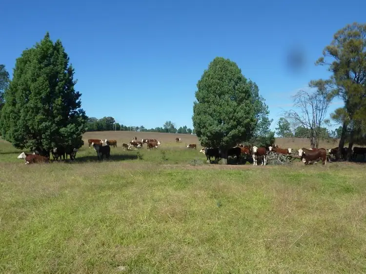 Fourth view of Homely land listing, Lot 181 Westella Road Wongarbon, Wongarbon NSW 2831