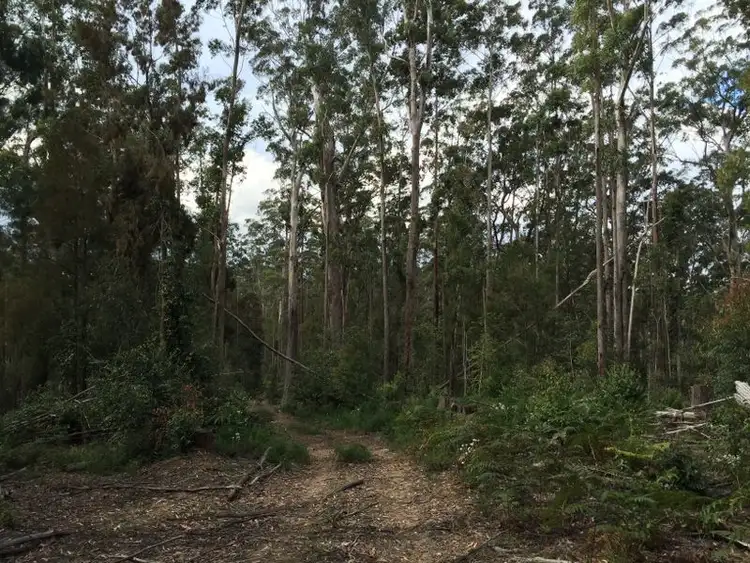 Fifth view of Homely rural property listing, Address available on request