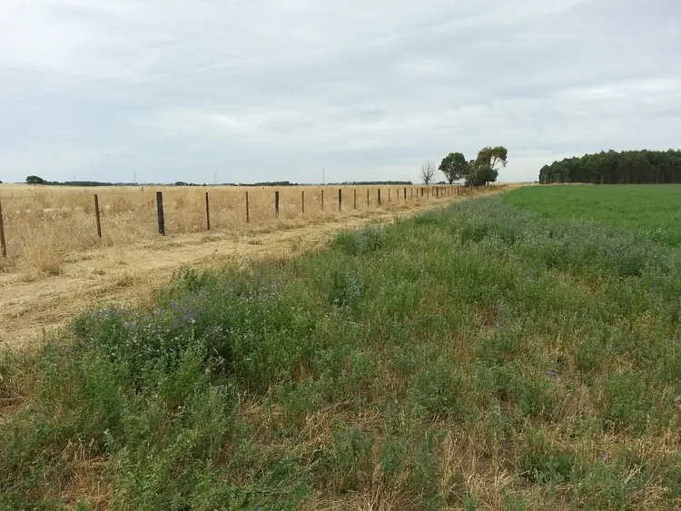 Second view of Homely rural property listing, Rutherford Estate/461 Clover Estate Road, Mingbool SA 5291