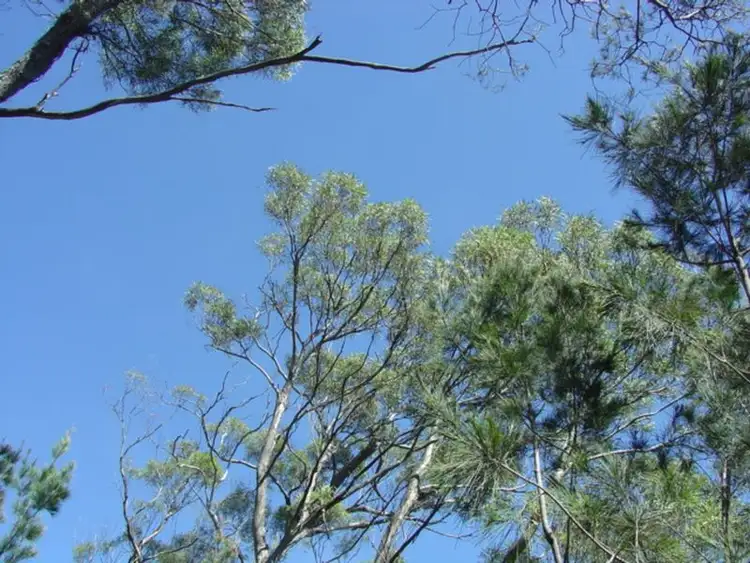 Second view of Homely land listing, 27 Rosedale Road, Bicheno TAS 7215