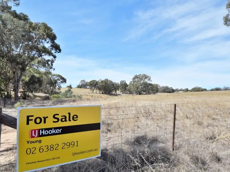 Main view of Homely land listing, 21 Kellys Road, Young NSW 2594