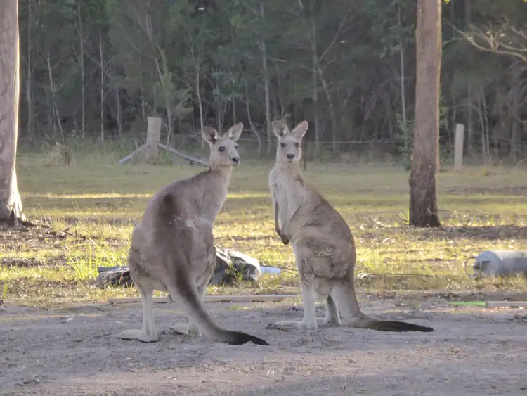 Third view of Homely land listing, 54 Mahogany Road, Coolongolook NSW 2423
