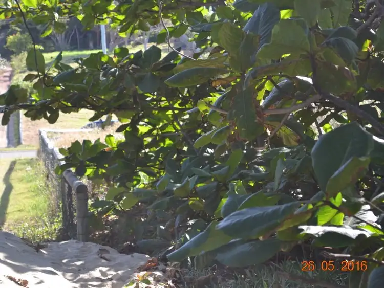 Seventh view of Homely land listing, 92 Farnborough Road, Yeppoon QLD 4703