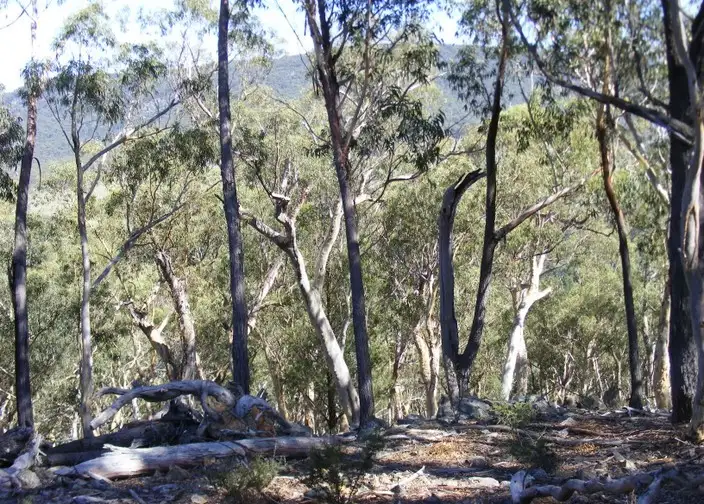 Second view of Homely rural property listing, 99 Carters Close, Greenwich Park NSW 2580
