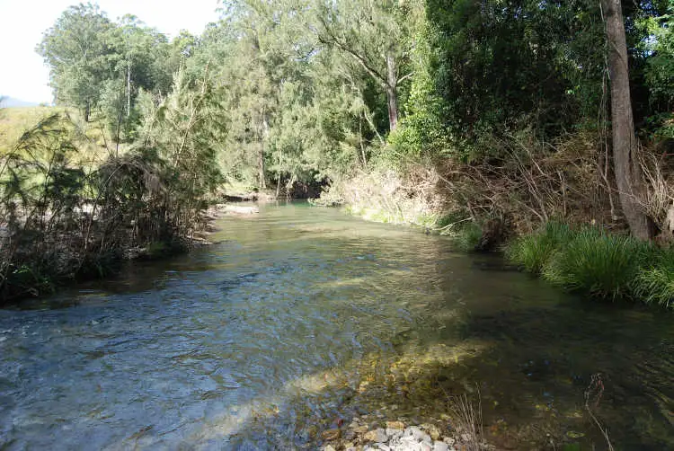 Fourth view of Homely rural property listing, 1770 Nulla Nulla Creek Rd, Bellbrook NSW 2440