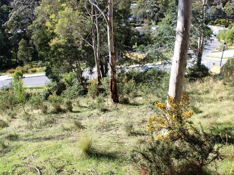 Fifth view of Homely land listing, 4 Woodlyn Court, South Hobart TAS 7004