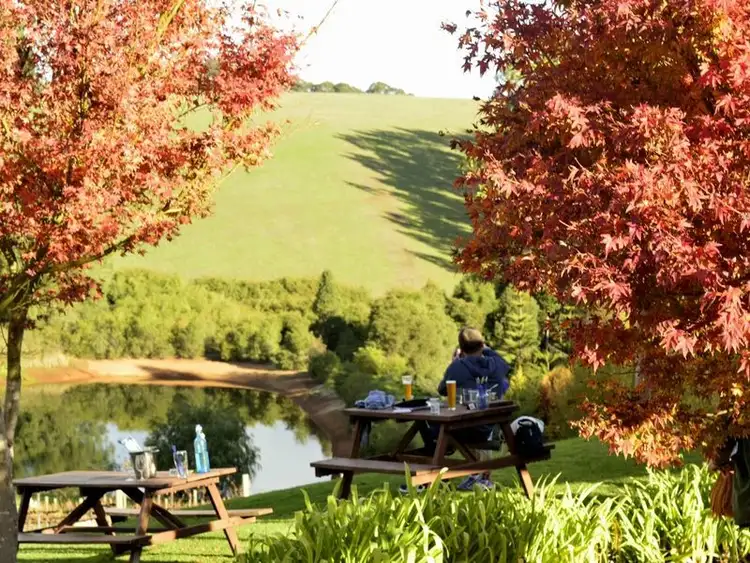 Sixth view of Homely rural property listing, 64 Kemp Road, Pemberton WA 6260