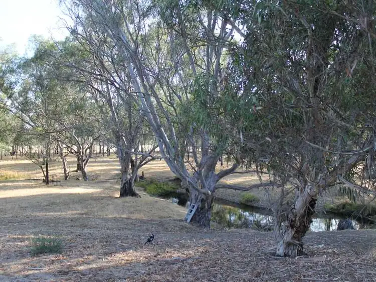 Third view of Homely house listing, 90 Rutley Crescent, Echuca VIC 3564