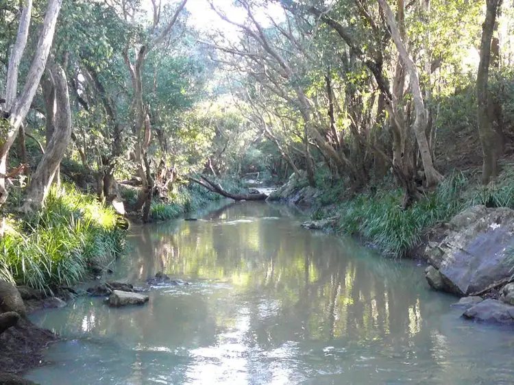 Fifth view of Homely rural property listing, Address available on request