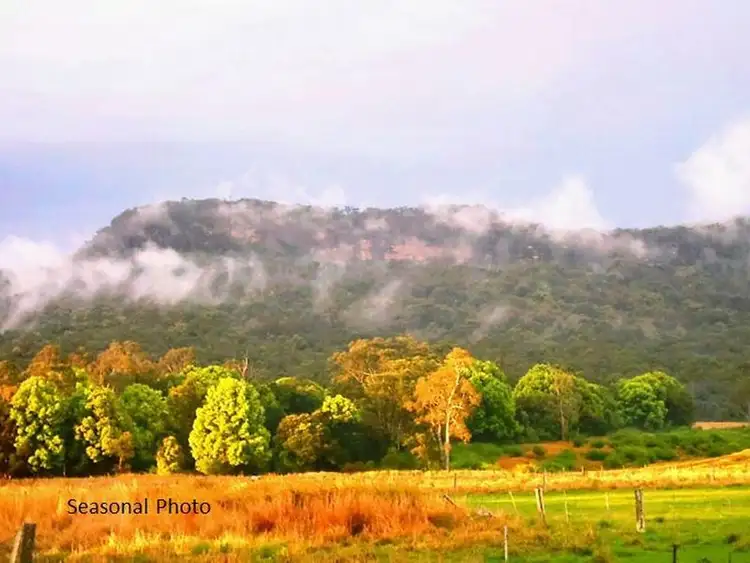 Main view of Homely rural property listing, 1870 Orara Way, Glenreagh NSW 2450