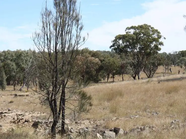 Fourth view of Homely rural property listing, 1281 Gulf Road, Emmaville NSW 2371