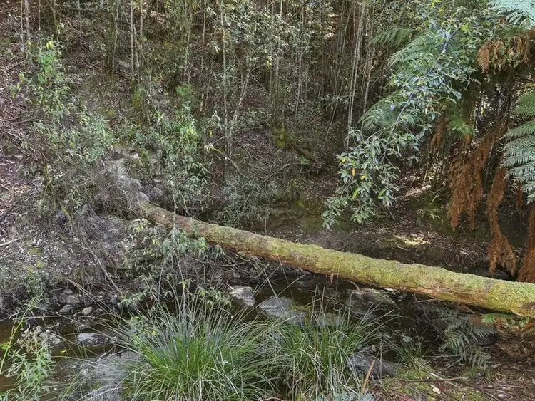 Seventh view of Homely land listing, Cripps Road, Woodbridge TAS 7162