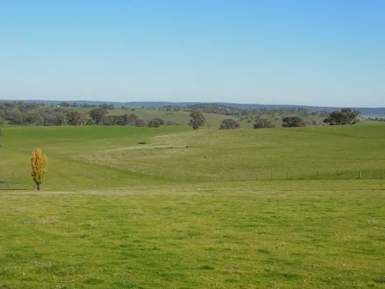 Seventh view of Homely rural property listing, 1341 Geegullalong Rd, Young NSW 2594