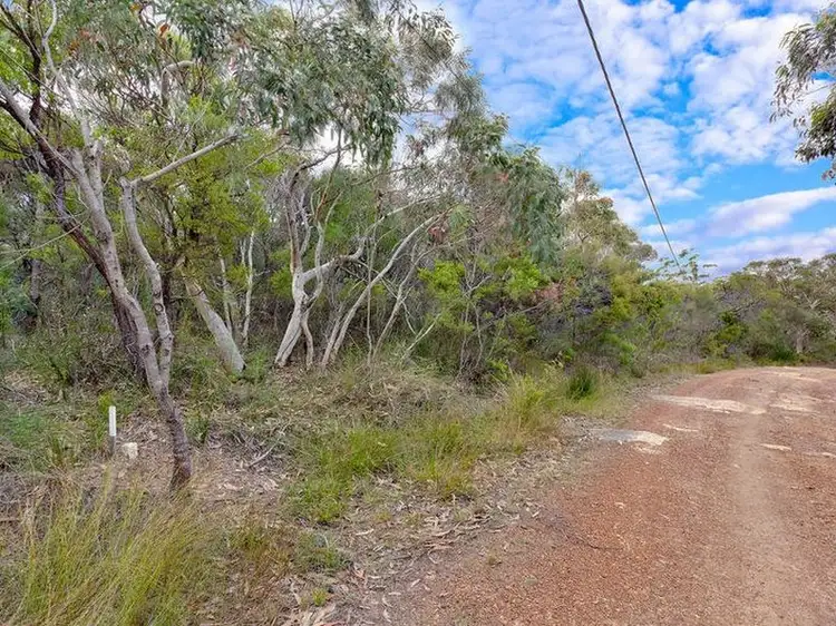 Main view of Homely land listing, 19 Morgan Road, Belrose NSW 2085