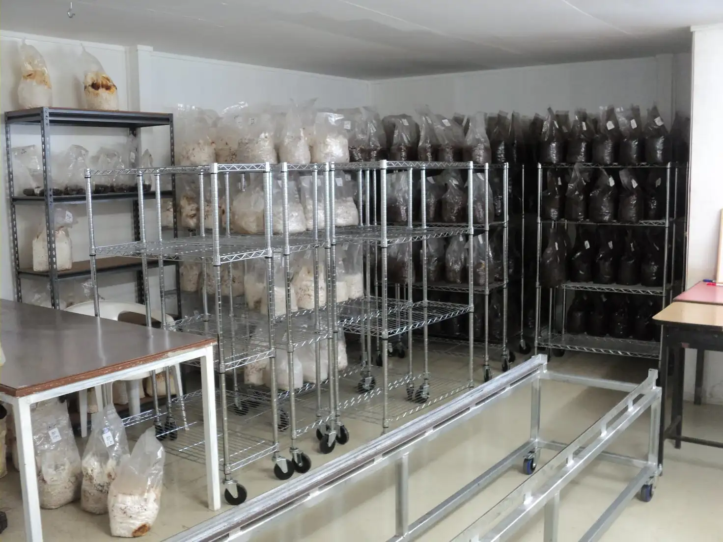 Main view of Homely rural property listing, Address available on request