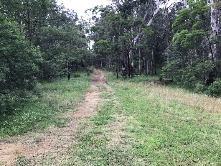 Fifth view of Homely rural property listing, 1383 Enfield Range Road, Cooplacurripa NSW 2424